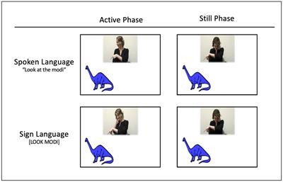 I See What You Are Saying: Hearing Infants’ Visual Attention and Social Engagement in Response to Spoken and Sign Language